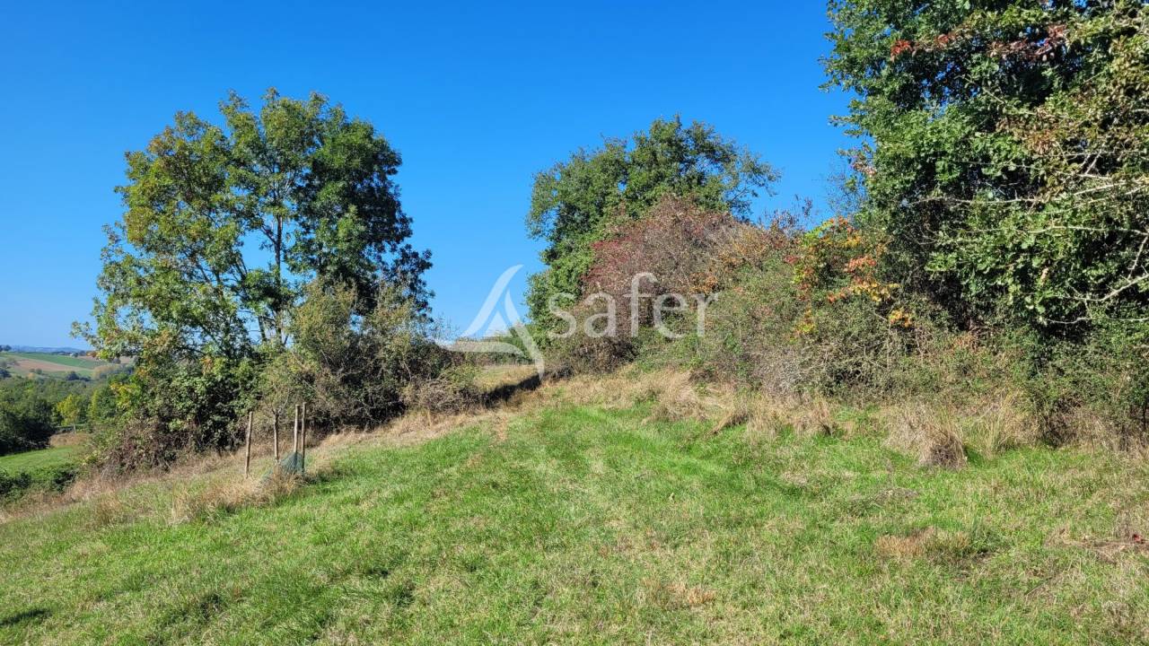 Explotación agrícola En venta Tarn