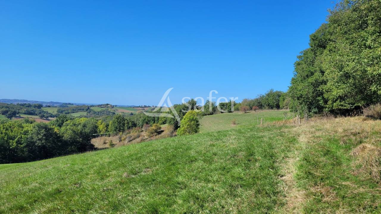 Explotación agrícola En venta Tarn