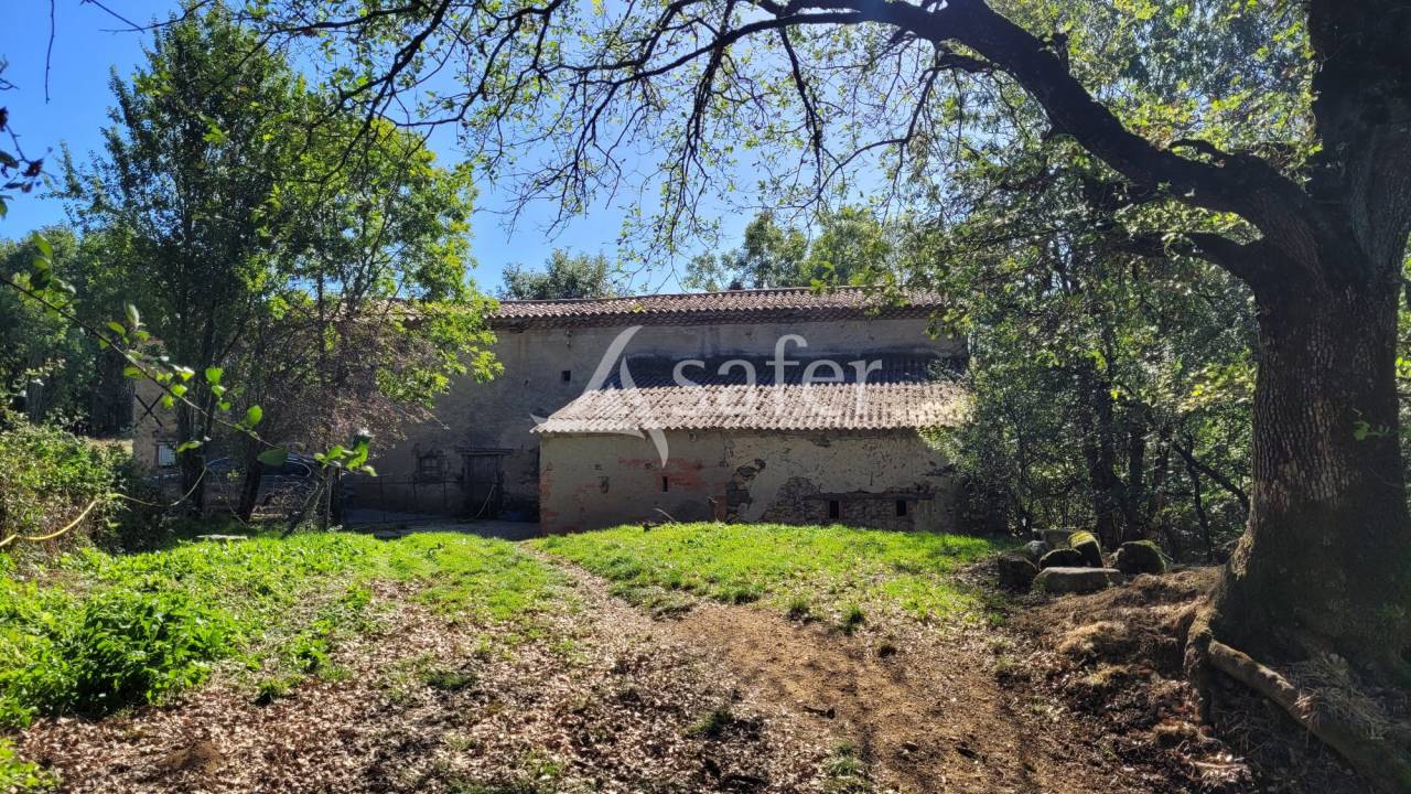 Explotación agrícola En venta Tarn