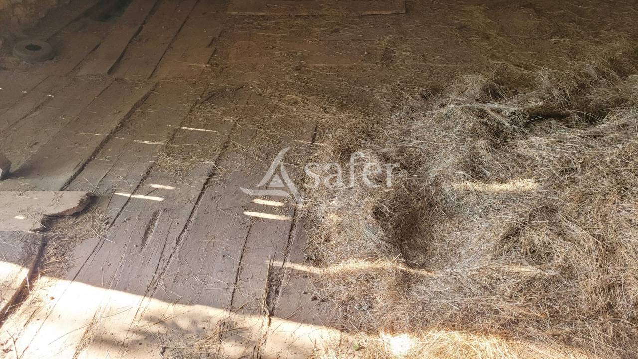 Explotación agrícola En venta Tarn