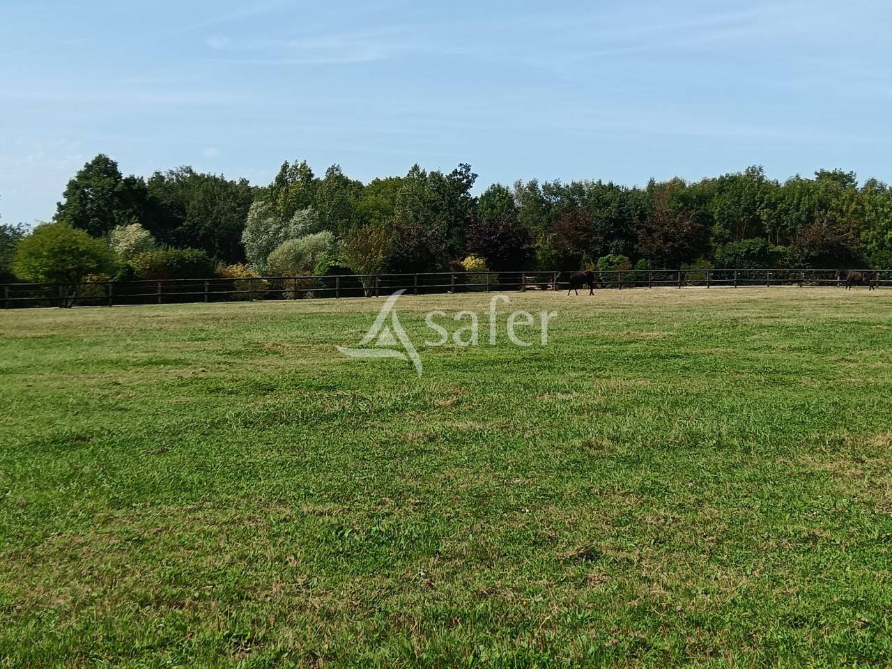 Propiedad ecuestre En venta Calvados