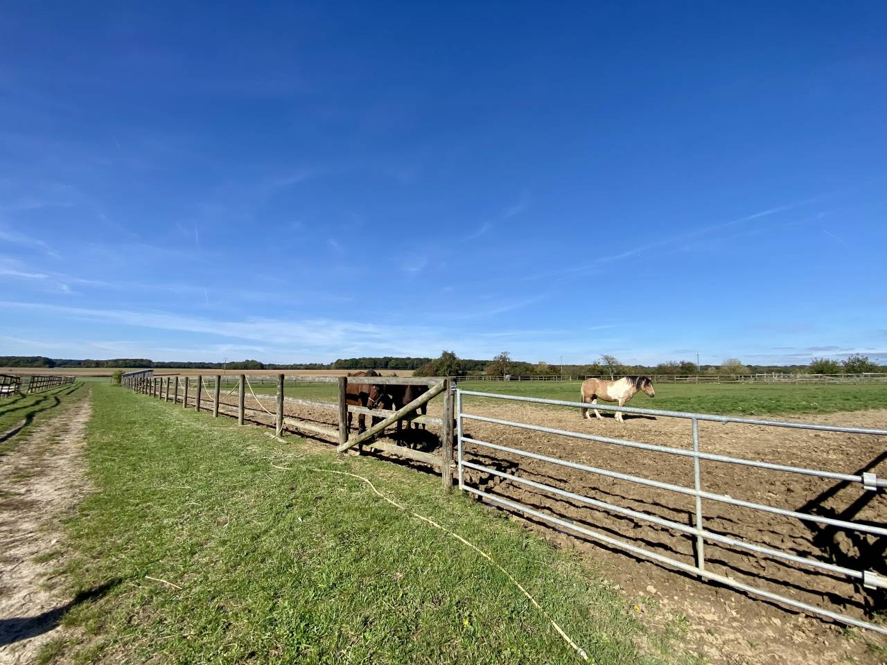 Cuadra de propietarios En venta Sena y Marne