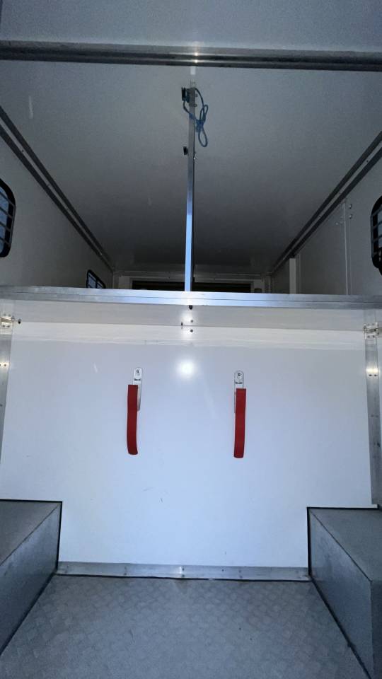 Furgoneta para caballos Renault Master 2013 De segunda mano