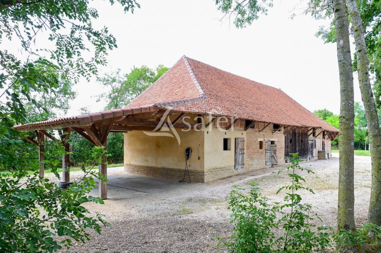 Propiedad rural En venta Saona y Loira