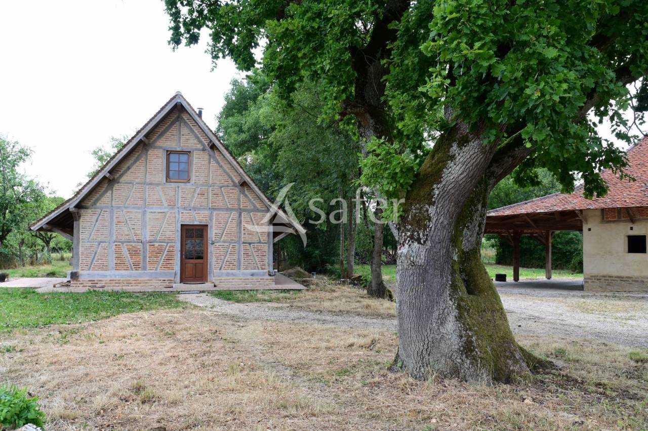 Propiedad rural En venta Saona y Loira