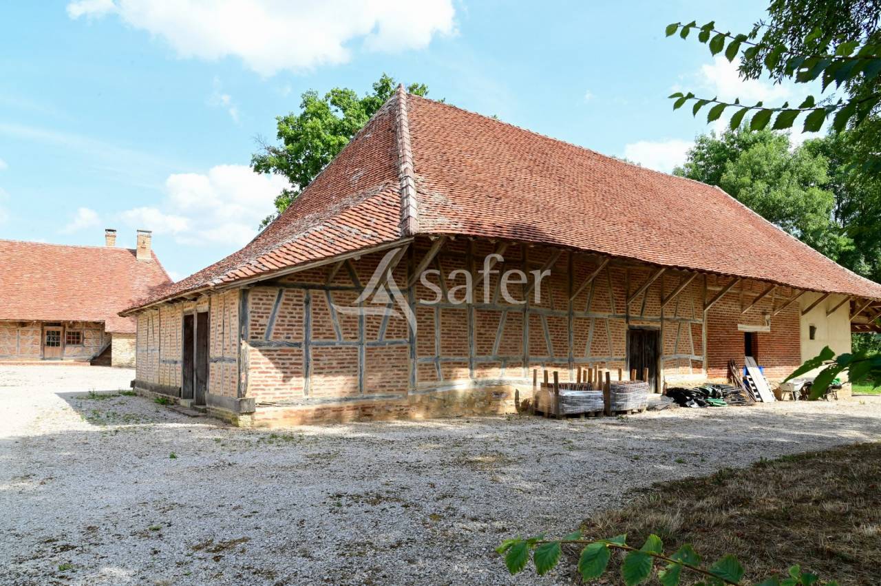 Propiedad rural En venta Saona y Loira