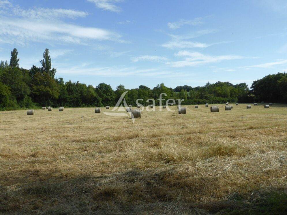 Propiedad rural En venta Saona y Loira