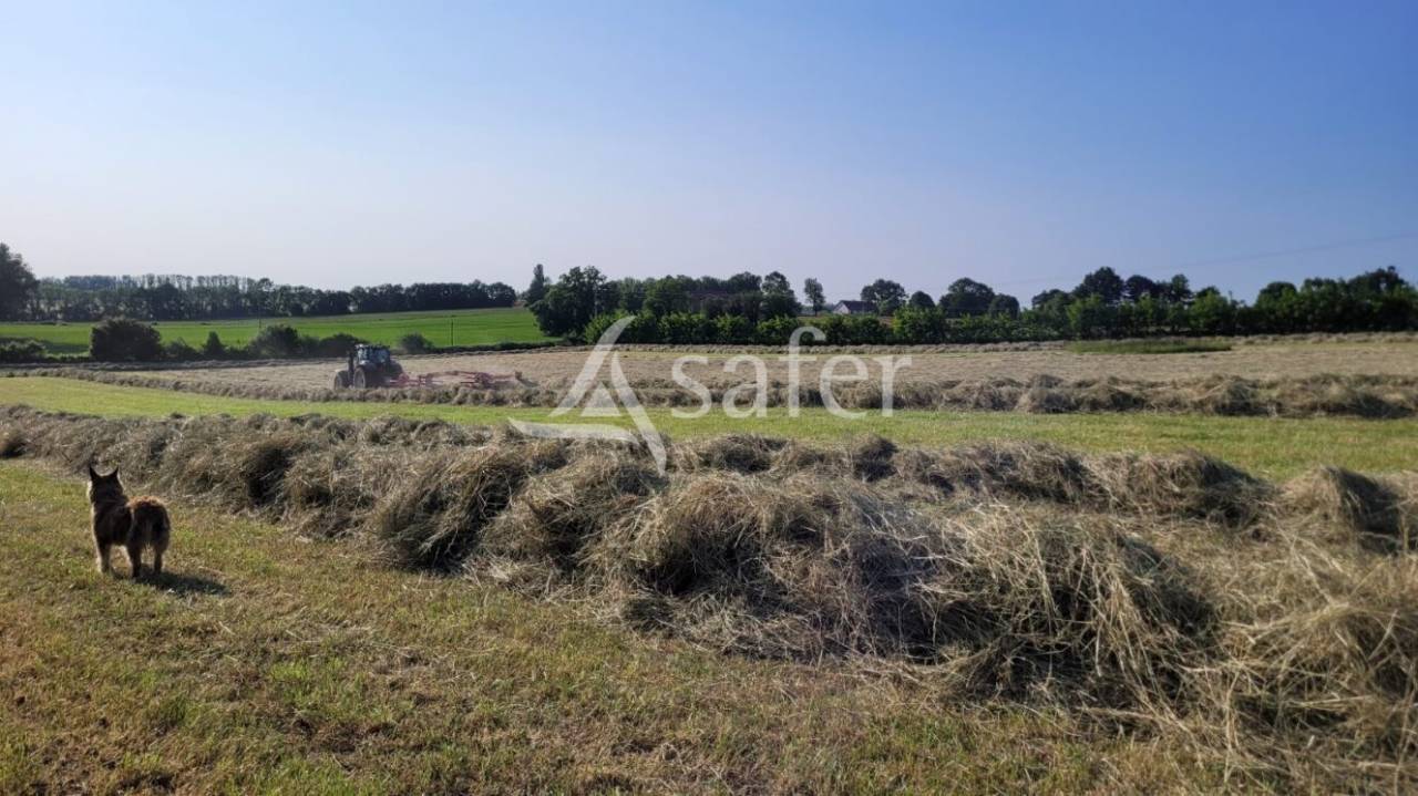 Propiedad rural En venta Saona y Loira