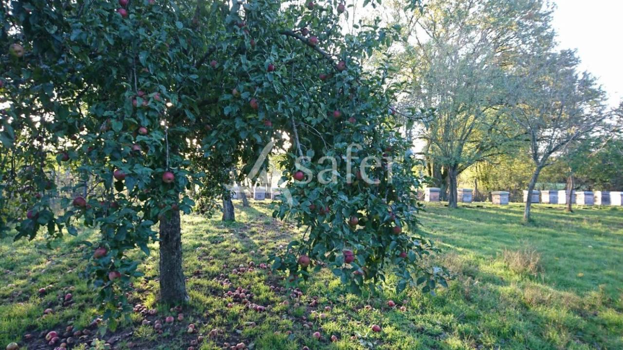 Propiedad rural En venta Saona y Loira