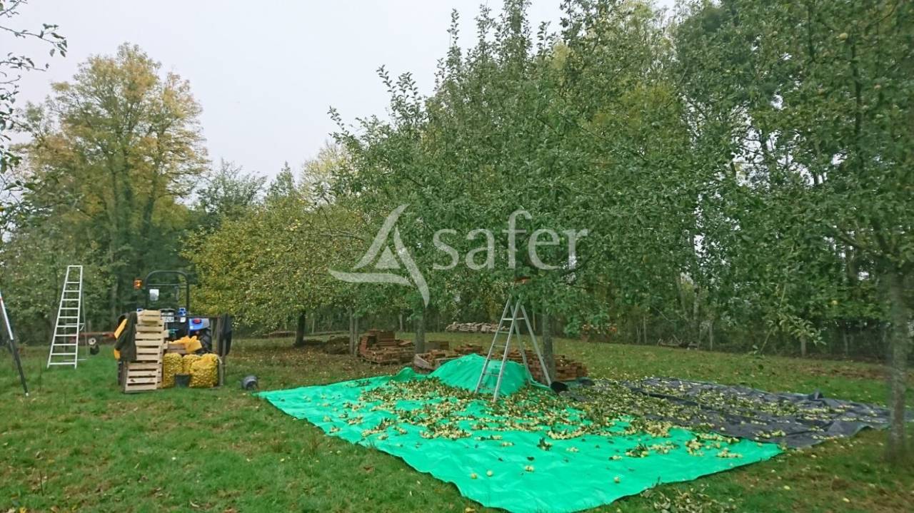 Propiedad rural En venta Saona y Loira