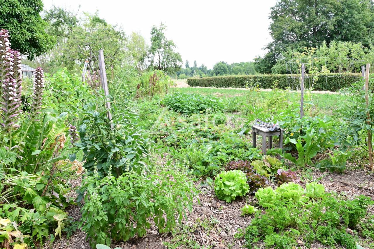 Propiedad rural En venta Saona y Loira