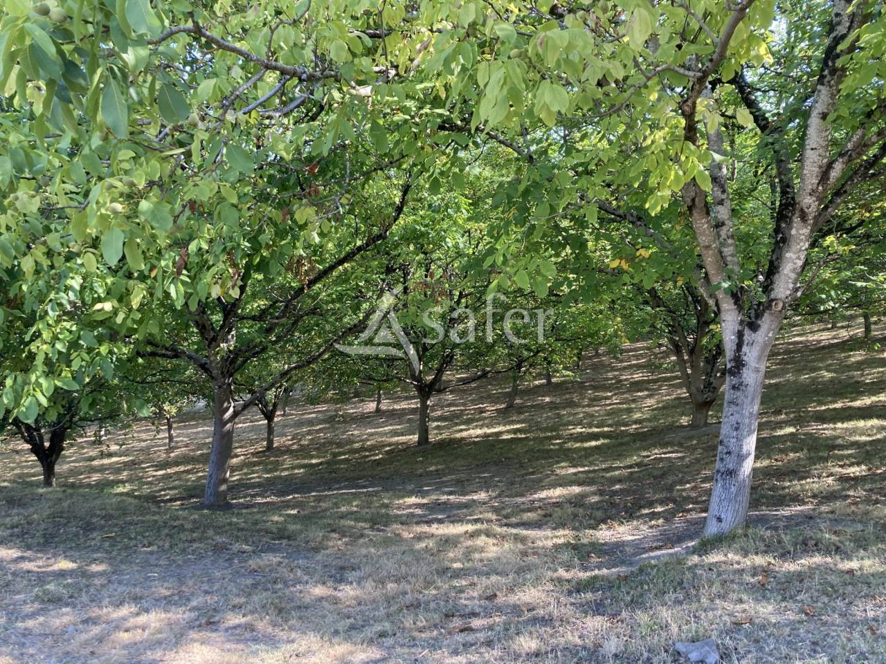 Explotación agrícola En venta Lot y Garona