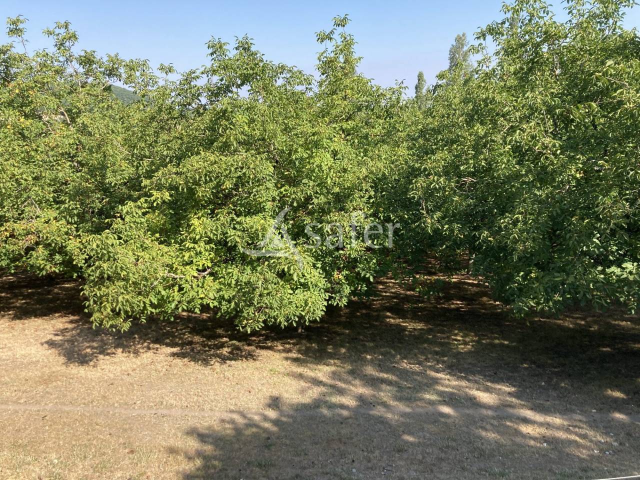 Explotación agrícola En venta Lot y Garona