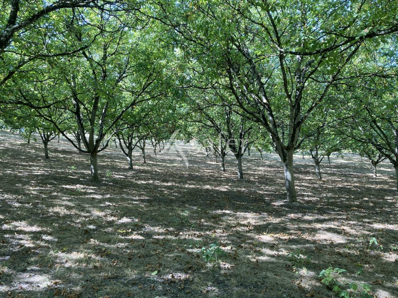 Explotación agrícola En venta Lot y Garona