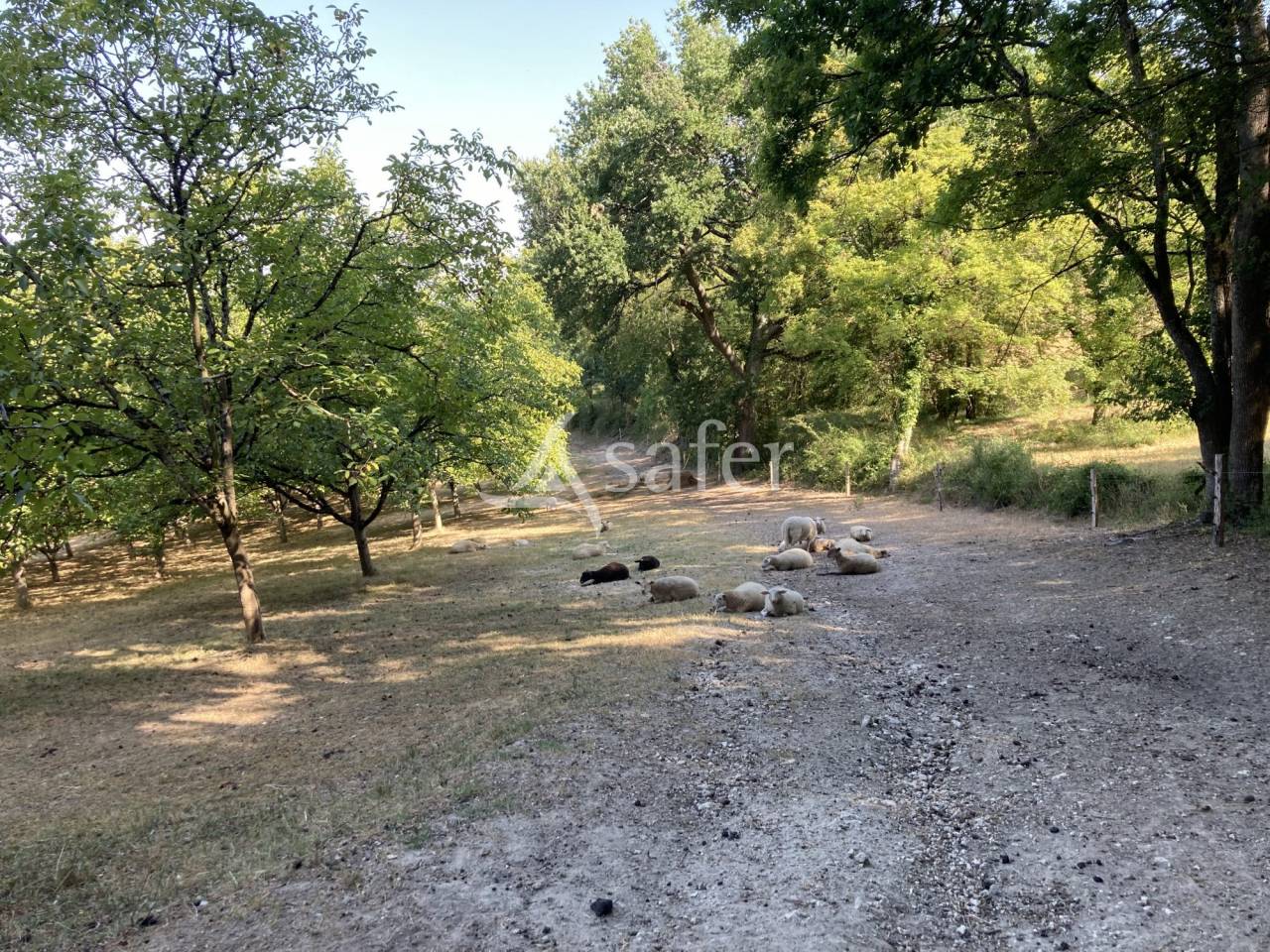 Explotación agrícola En venta Lot y Garona