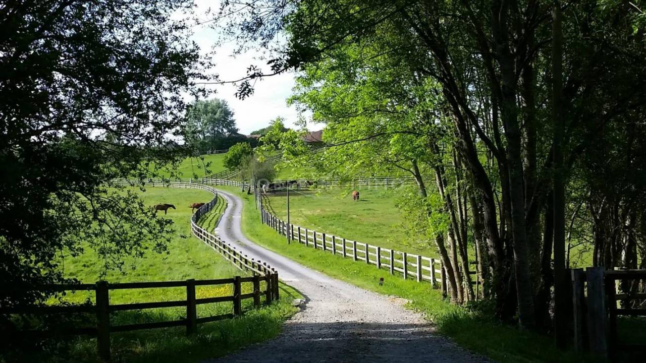 Propiedad ecuestre En venta Orne