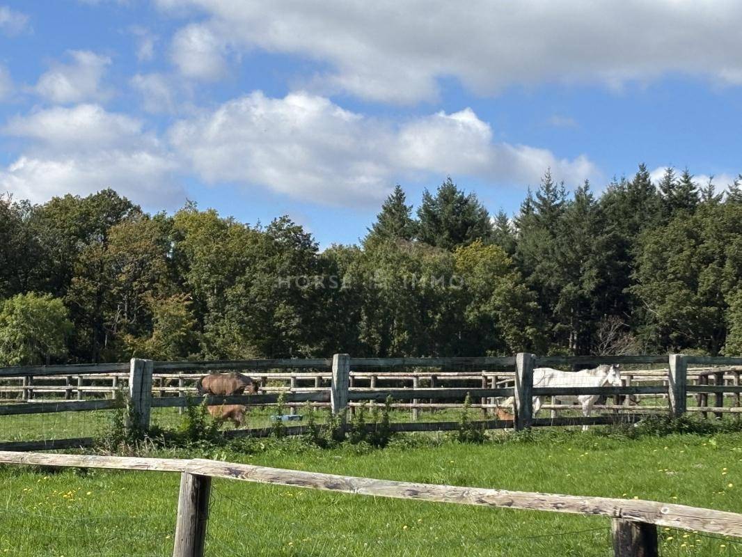 Propiedad ecuestre En venta Orne