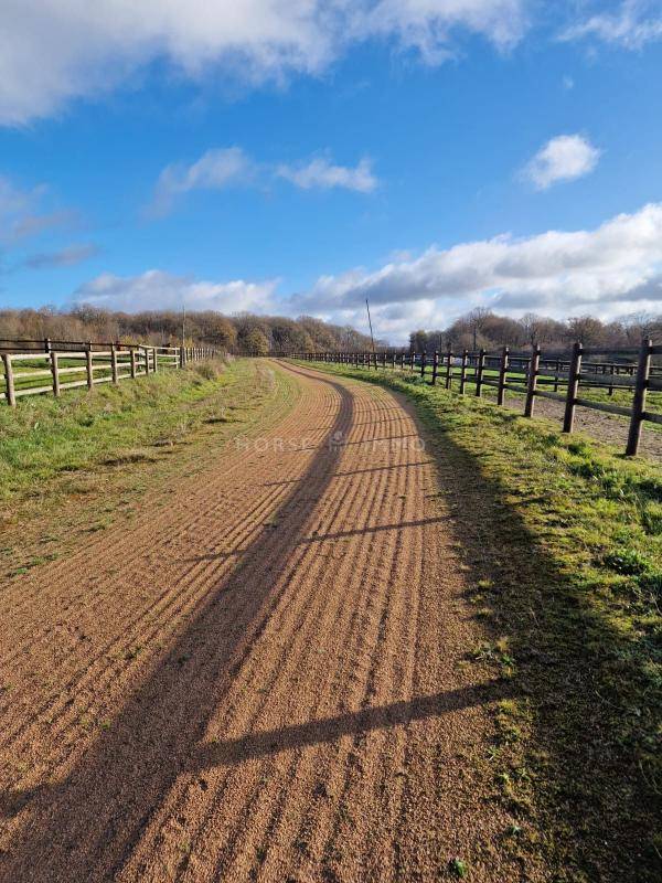 Propiedad ecuestre En venta Orne