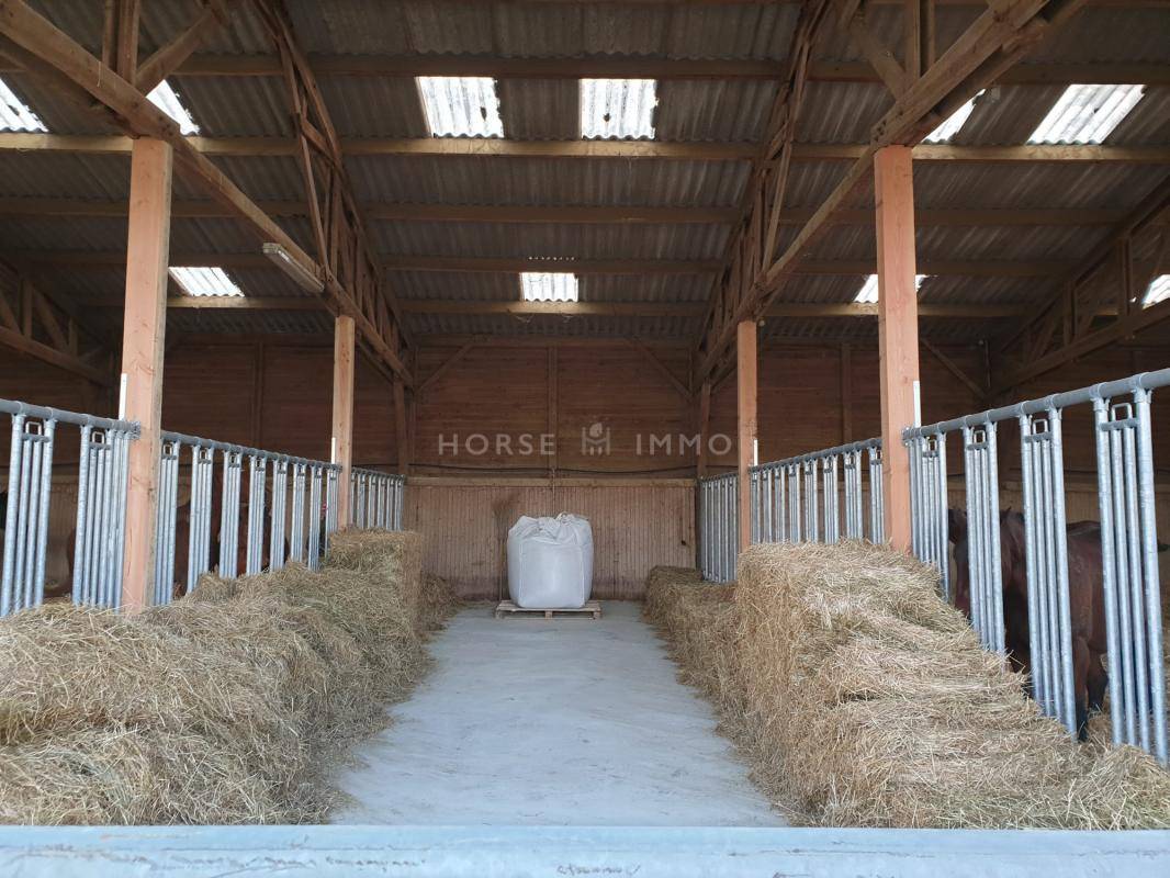 Propiedad ecuestre En venta Orne