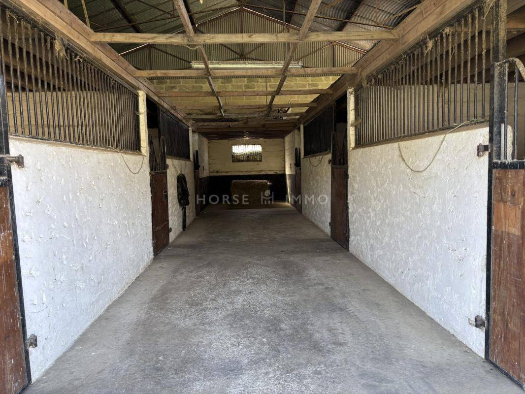 Propiedad ecuestre En venta Orne