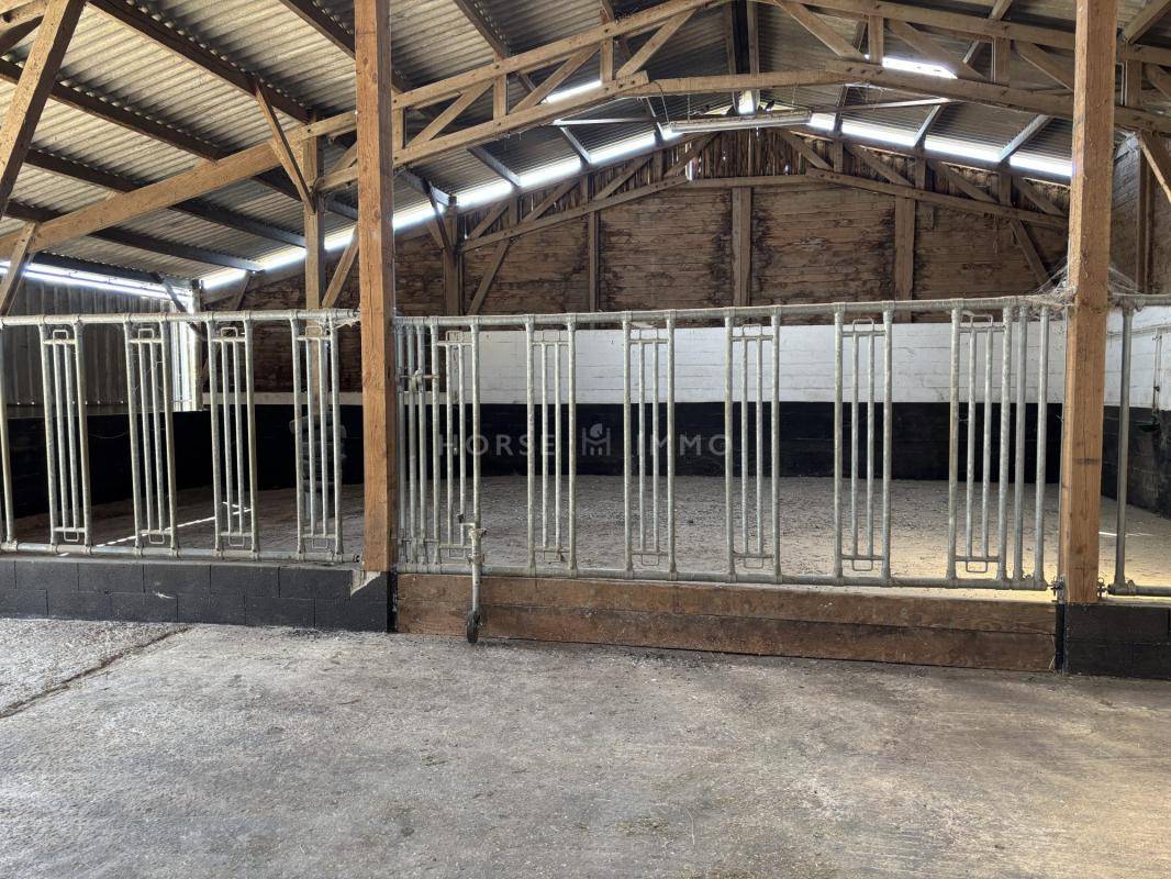 Propiedad ecuestre En venta Orne
