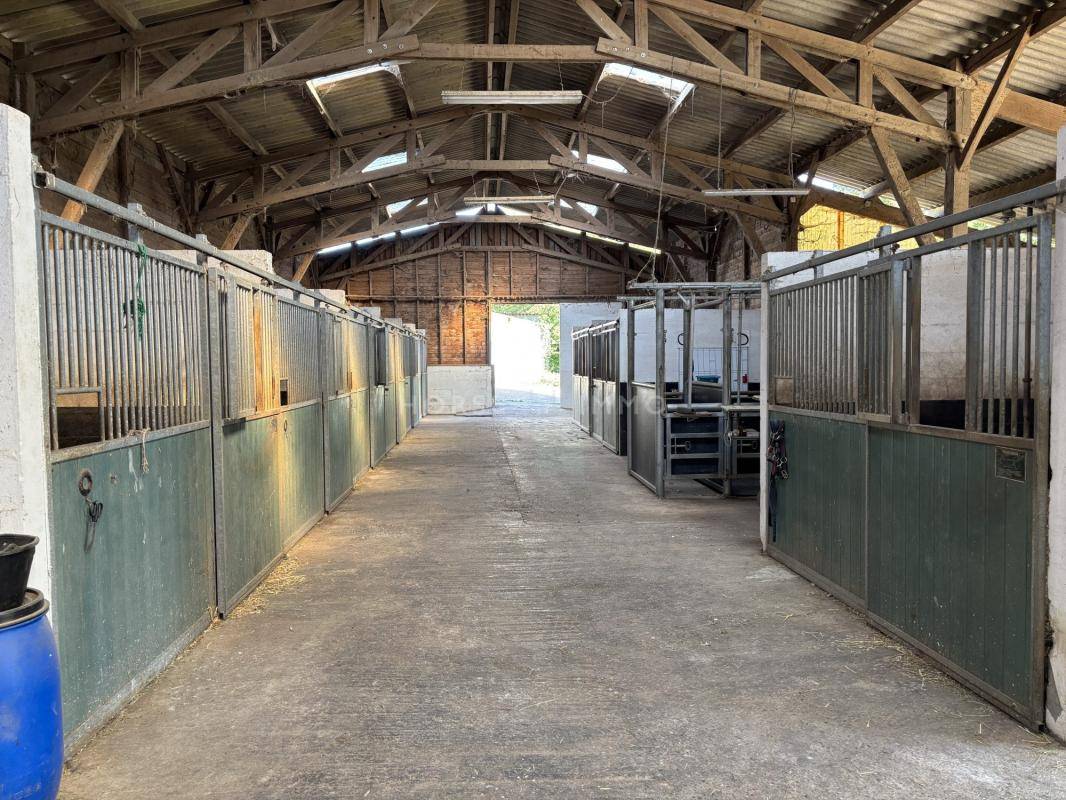 Propiedad ecuestre En venta Orne