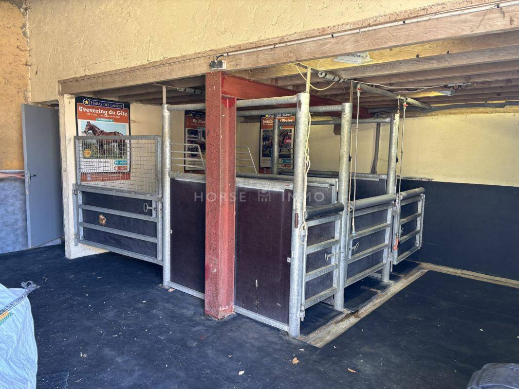 Propiedad ecuestre En venta Orne