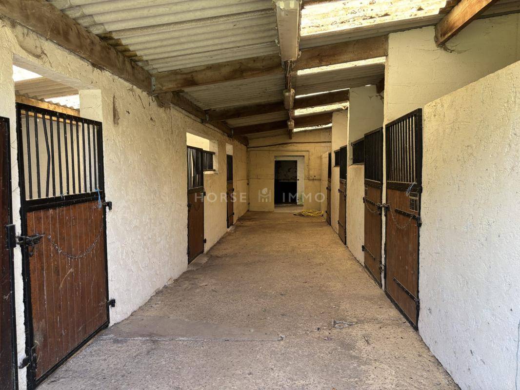 Propiedad ecuestre En venta Orne