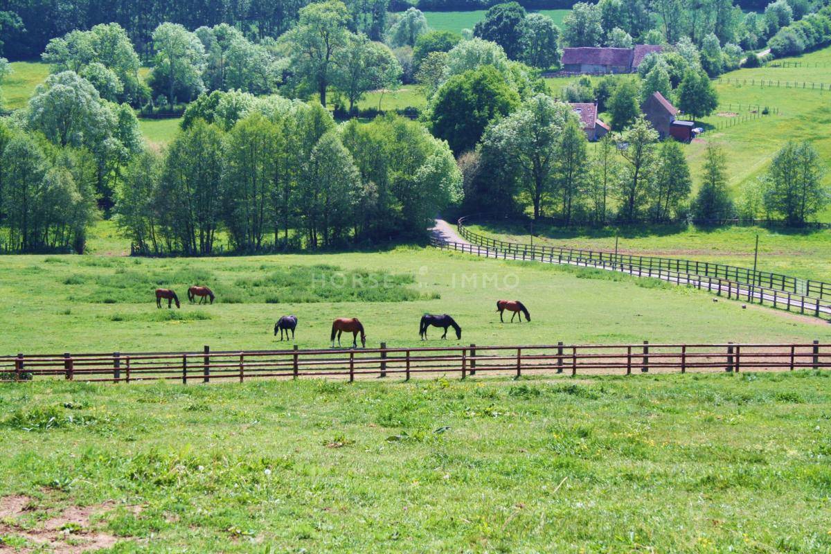 Propiedad ecuestre En venta Orne