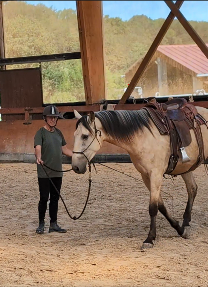 Caballo castrado PRE Pura Raza Española En venta 2022 Isabelo