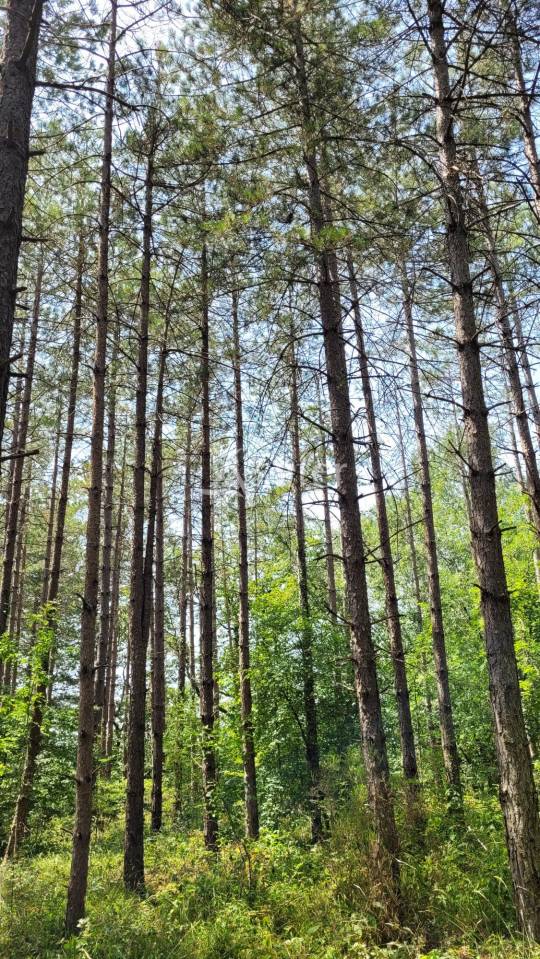 Propiedad rural En venta Tarn