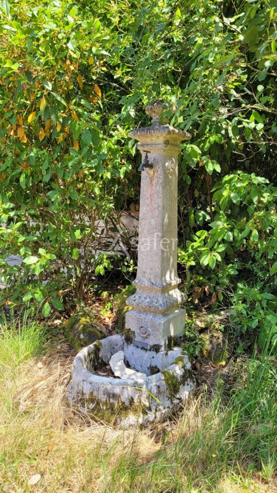 Propiedad rural En venta Tarn