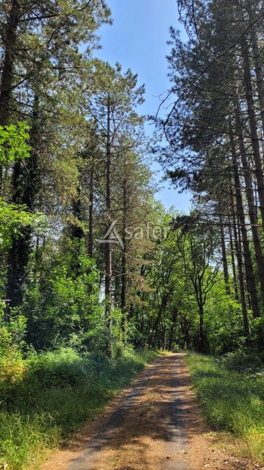 Propiedad rural En venta Tarn