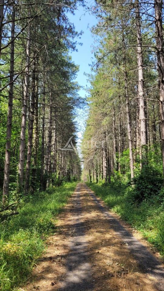 Propiedad rural En venta Tarn