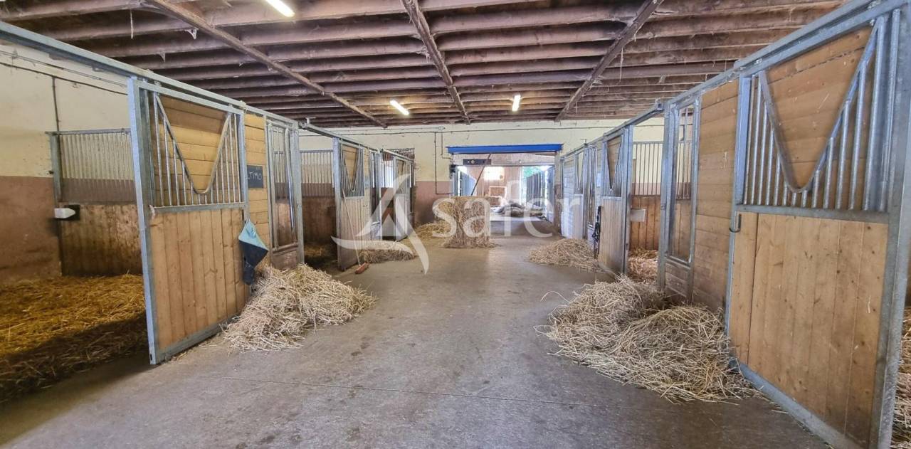 Propiedad ecuestre En venta Aveyron