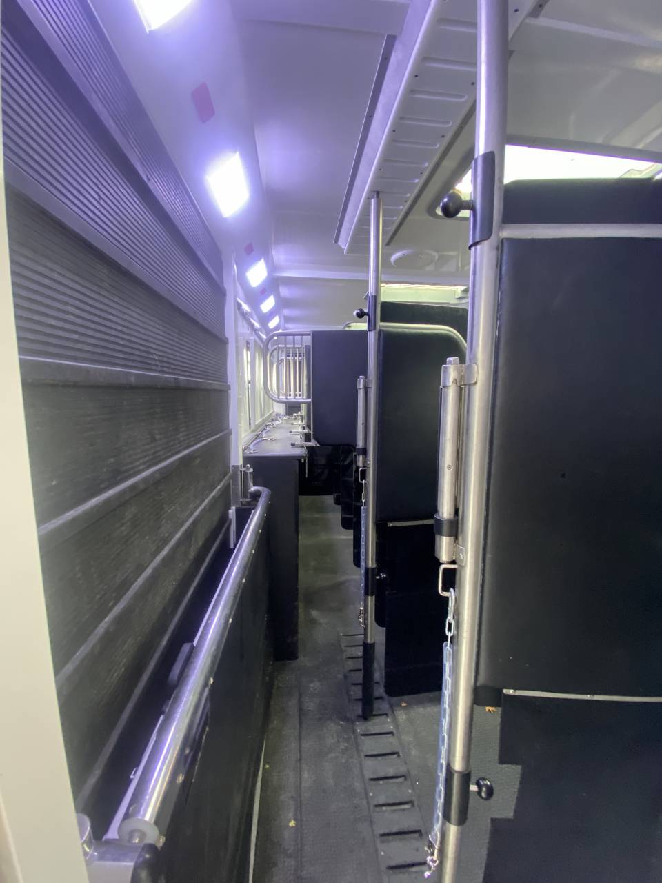 Camión para caballos AKX  2016 De segunda mano