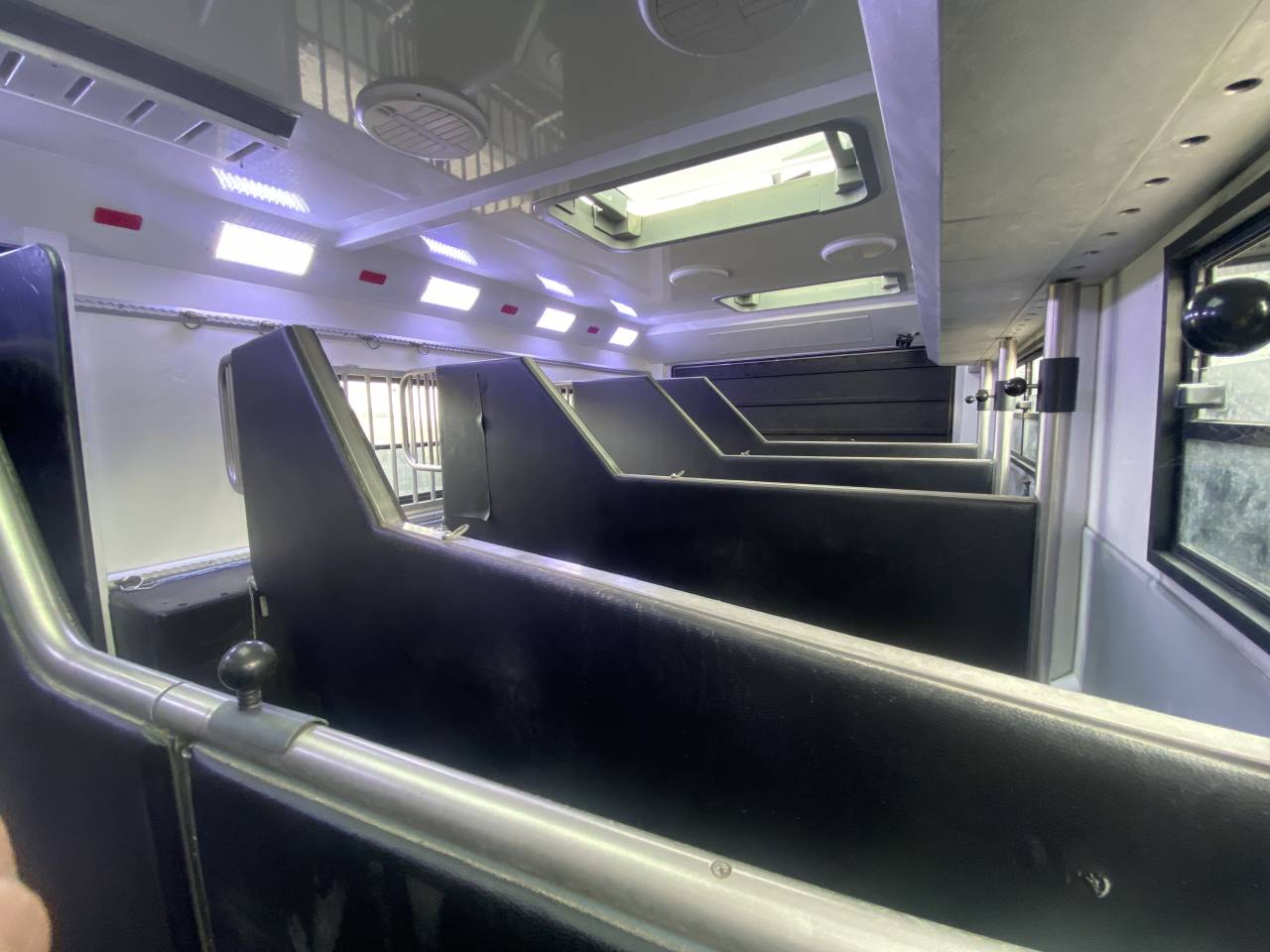 Camión para caballos AKX  2016 De segunda mano