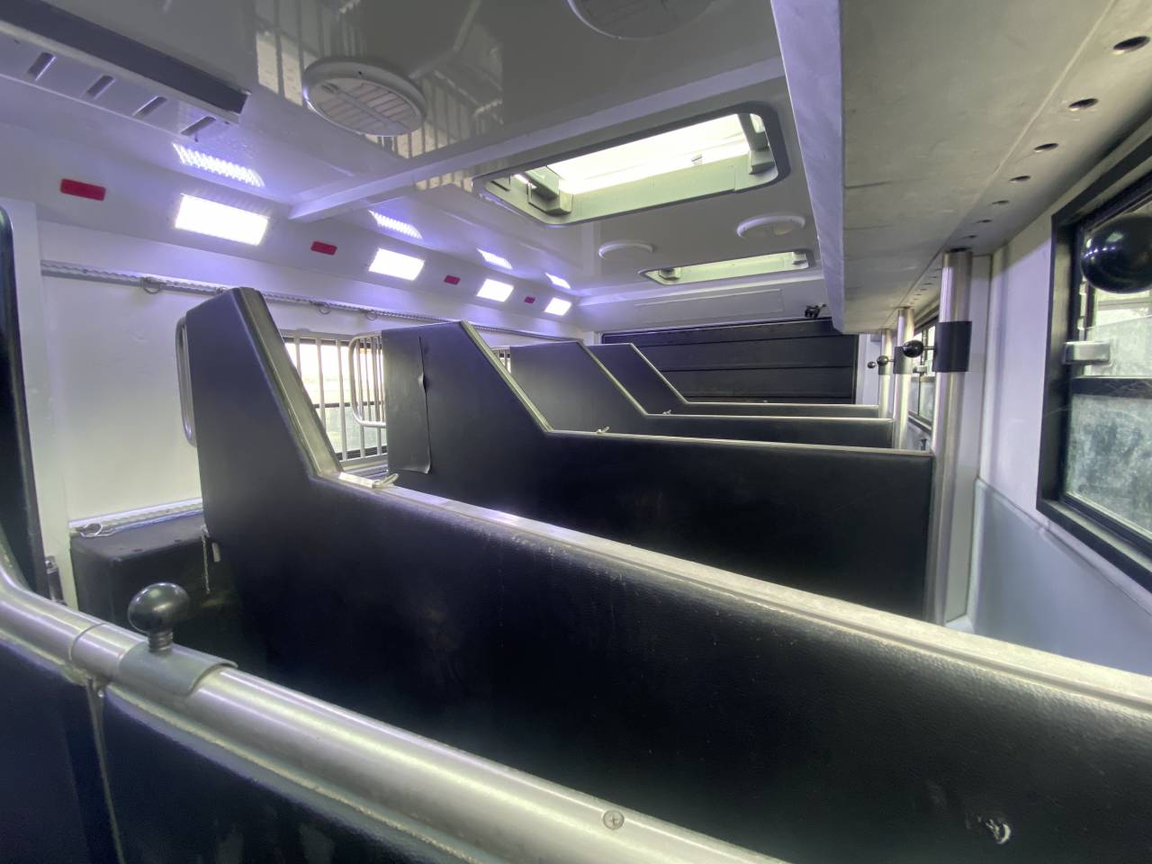 Camión para caballos AKX  2016 De segunda mano