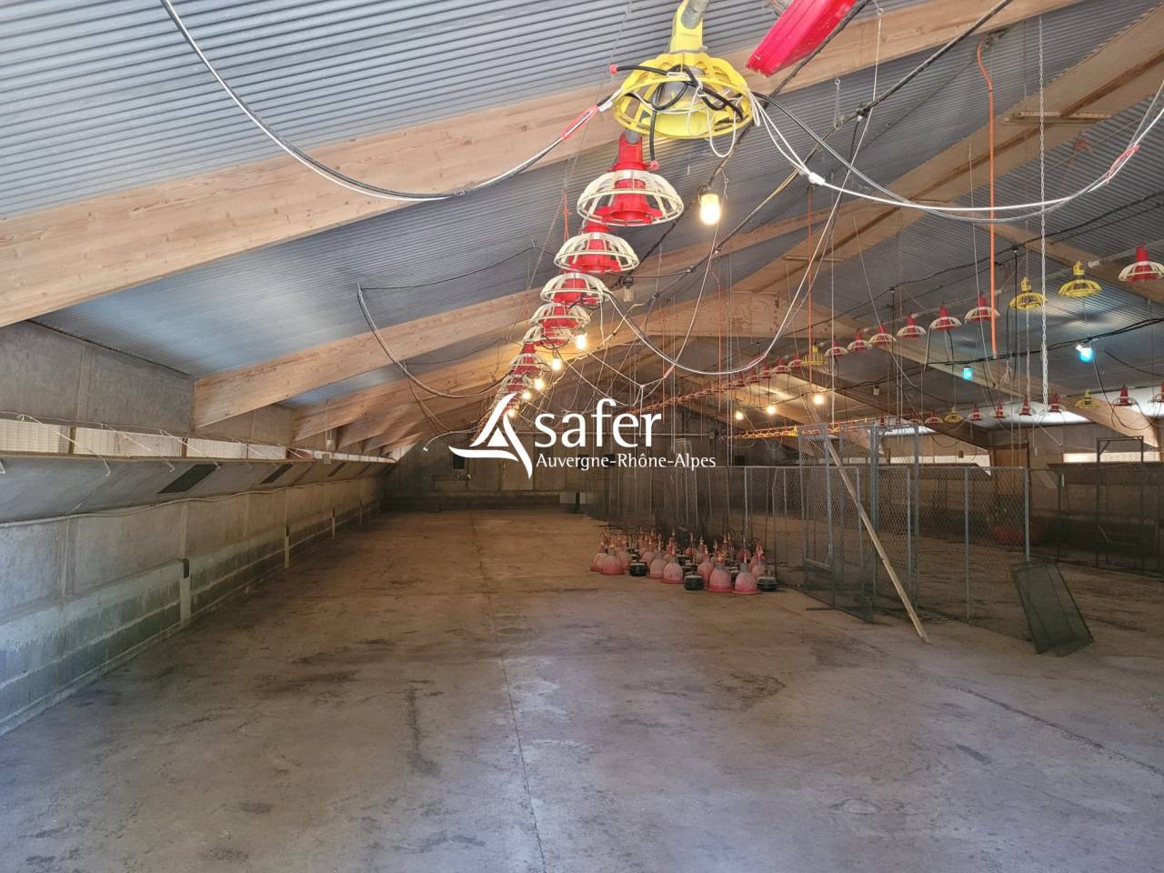 Explotación avícola En venta Saboya