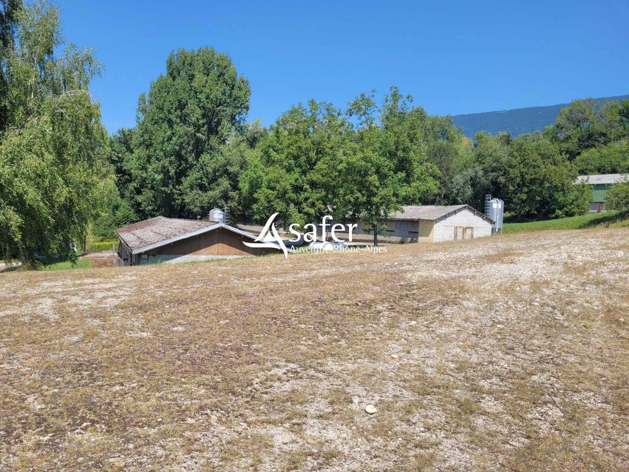 Explotación avícola En venta Saboya