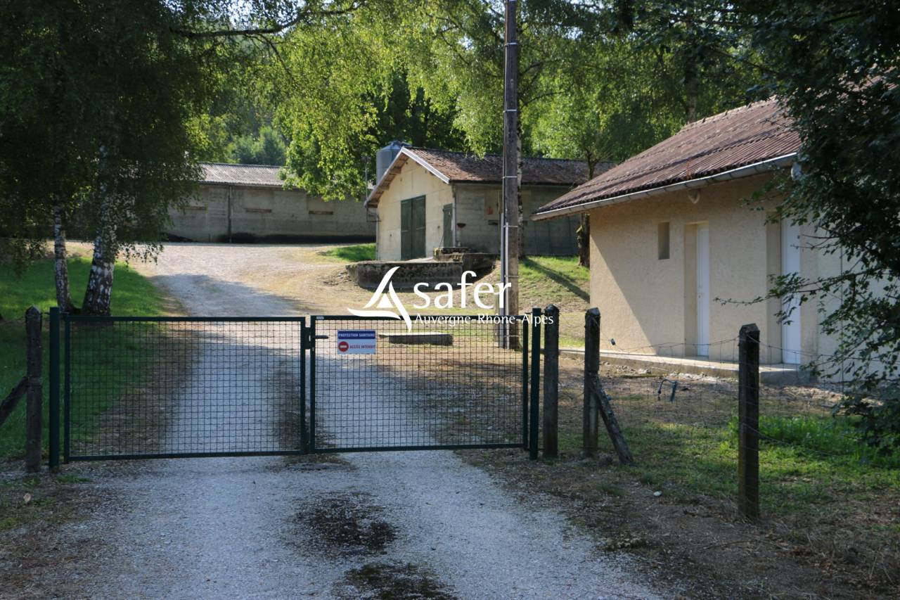 Explotación avícola En venta Saboya