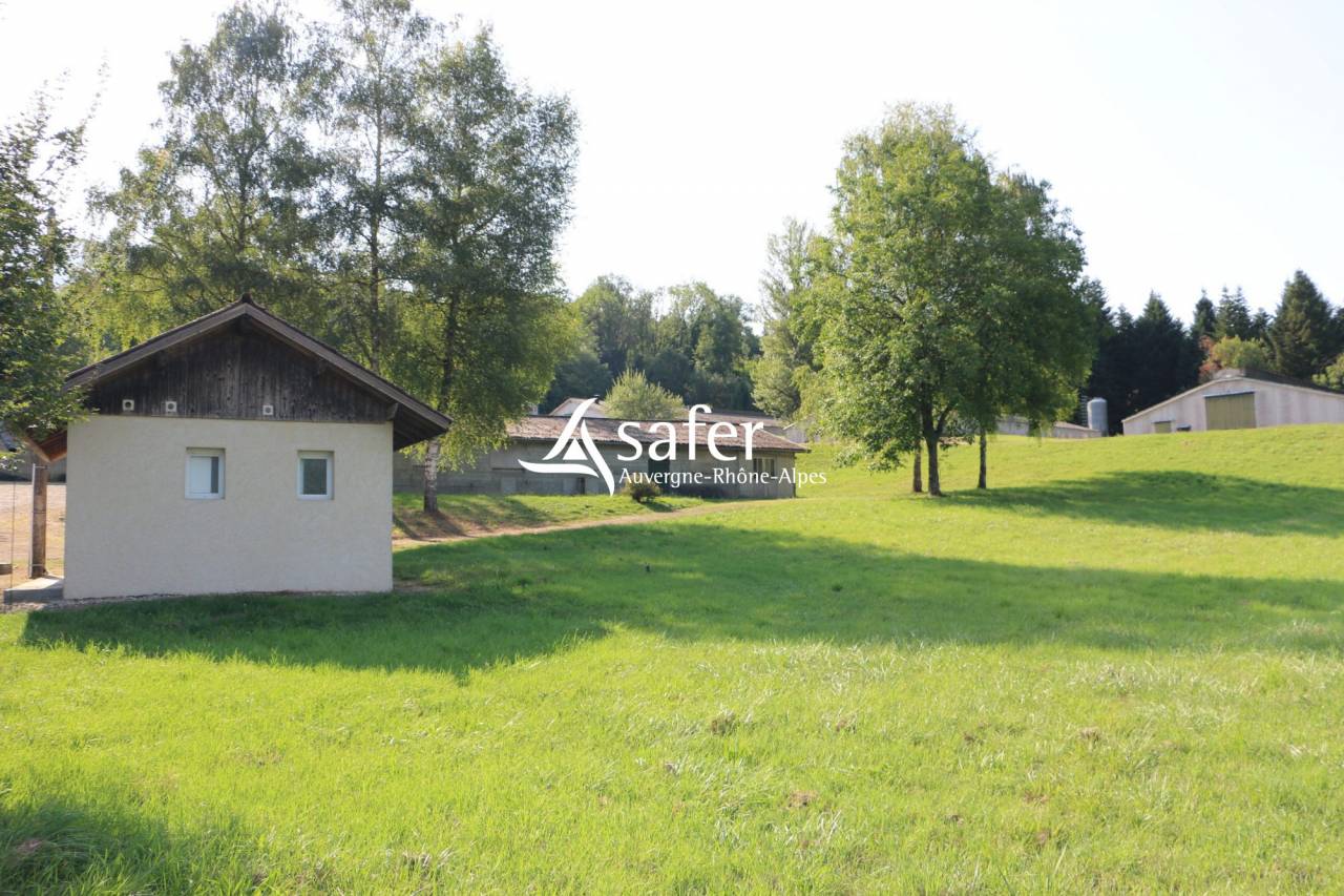 Explotación avícola En venta Saboya