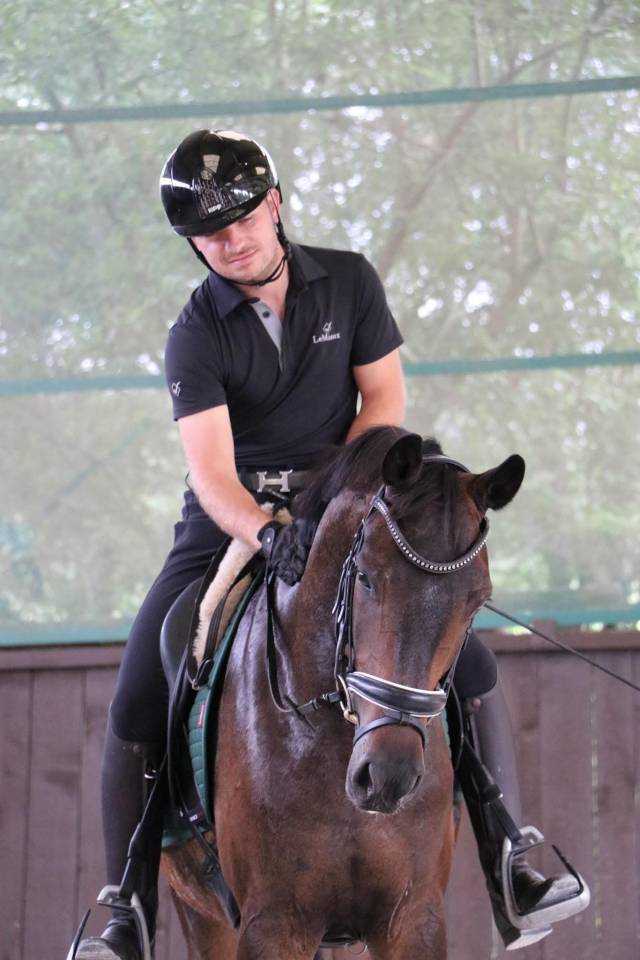 Caballo castrado Oldenburgués En venta 2021 Bayo moreno por Bon Coeur