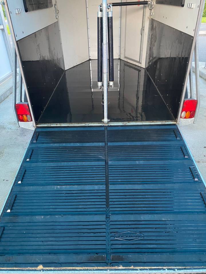 Van caballos Bockmann  2 Caballos 2017 De segunda mano