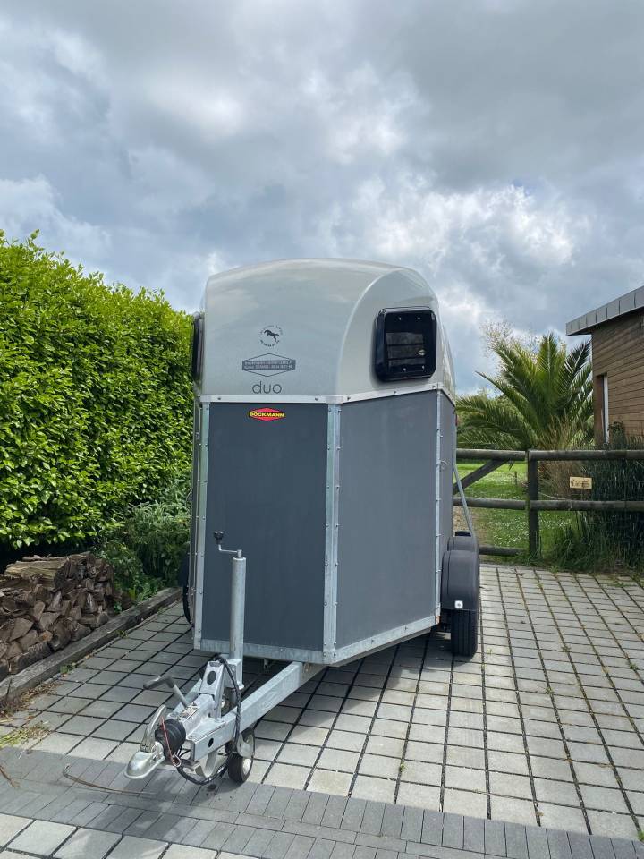 Van caballos Bockmann  2 Caballos 2017 De segunda mano