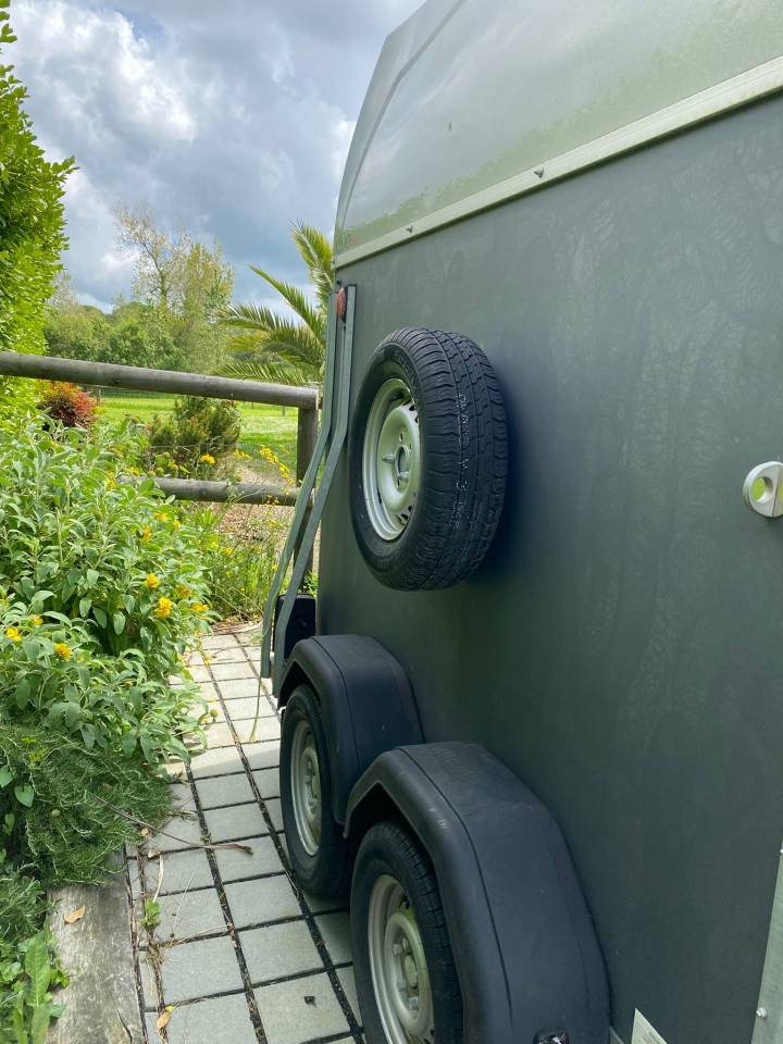 Van caballos Bockmann  2 Caballos 2017 De segunda mano