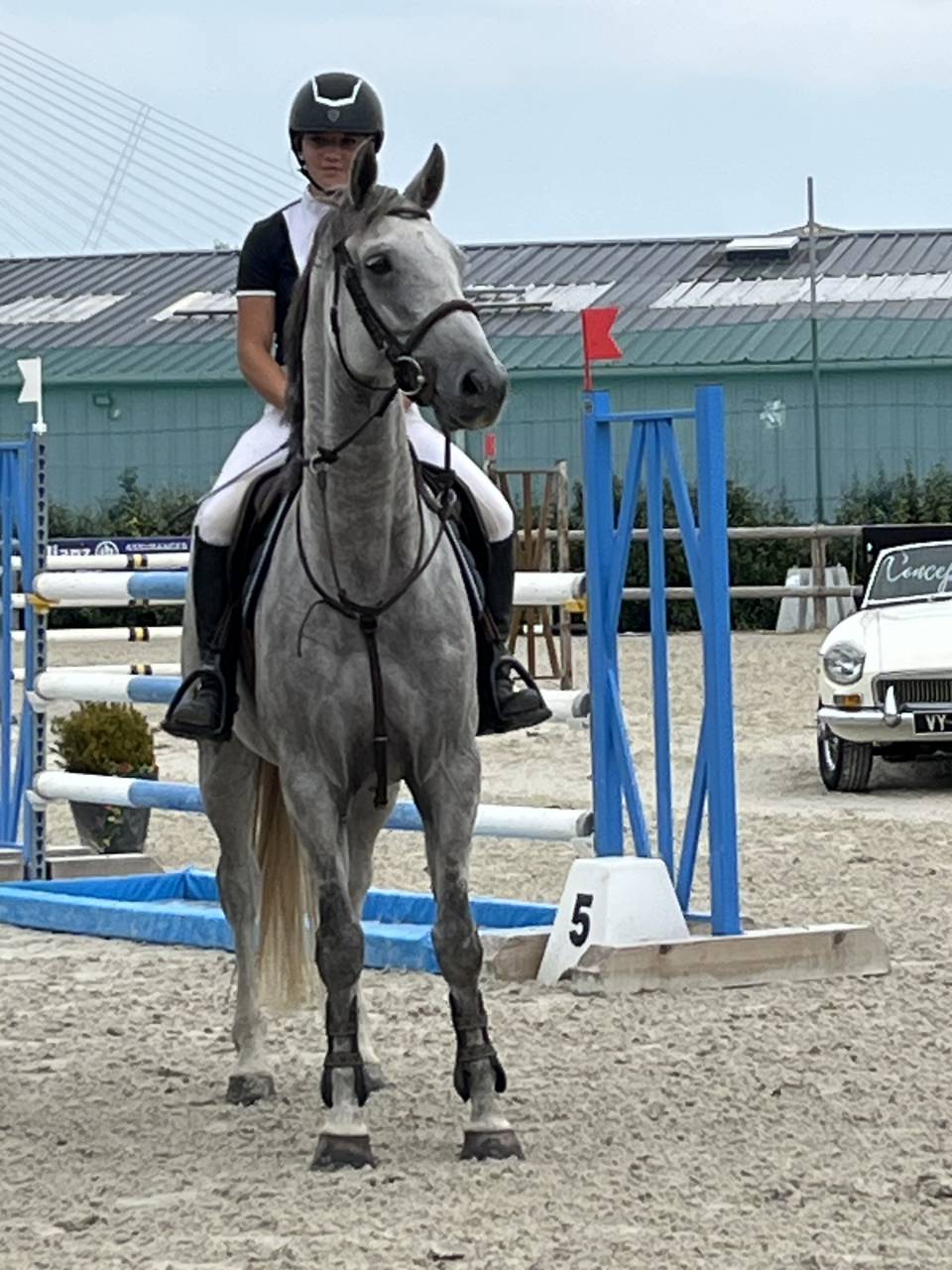 Practicante - Practicante  Medio tiempo - Calvados Francia