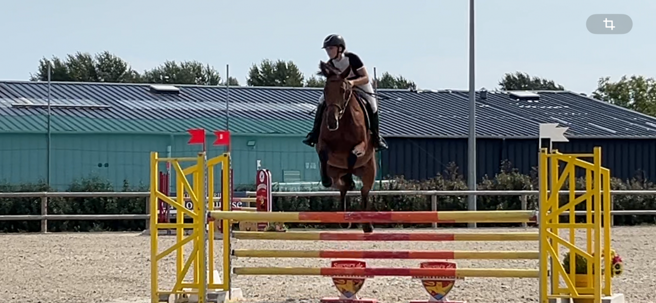 Practicante - Practicante  Medio tiempo - Calvados Francia