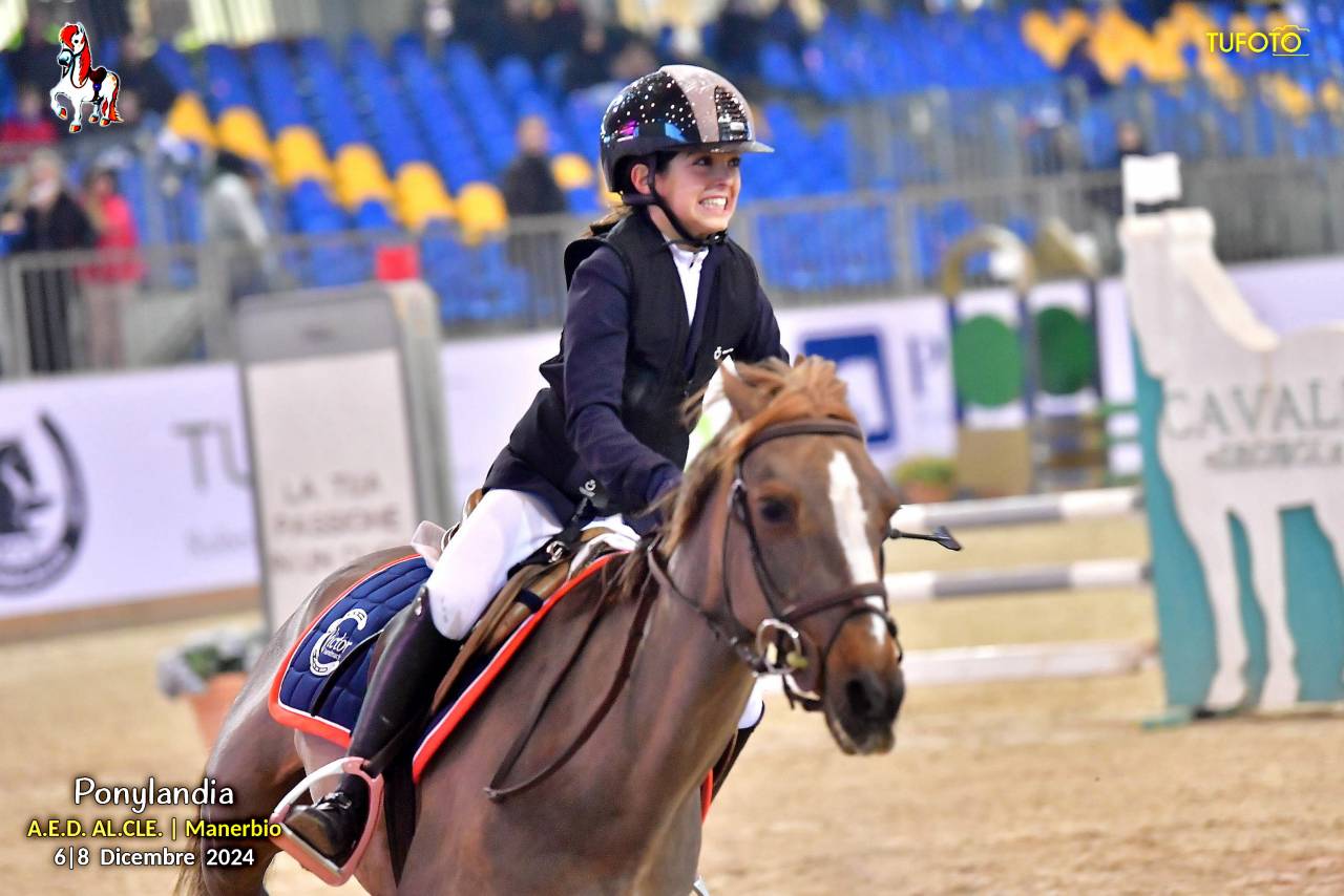 Yegua Otra Raza de Poni En venta 2009 Alazán tostado