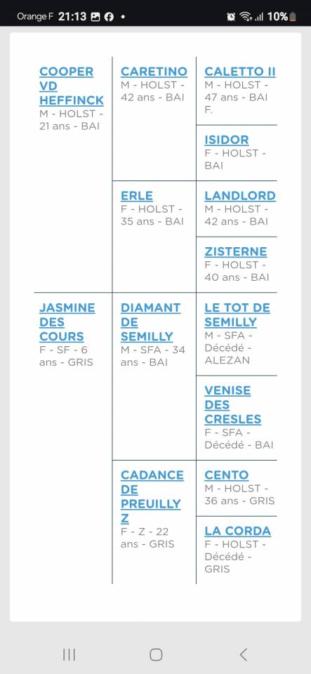 Yegua Silla Francés En venta 2024 Bayo por Cooper van’t Heffinck